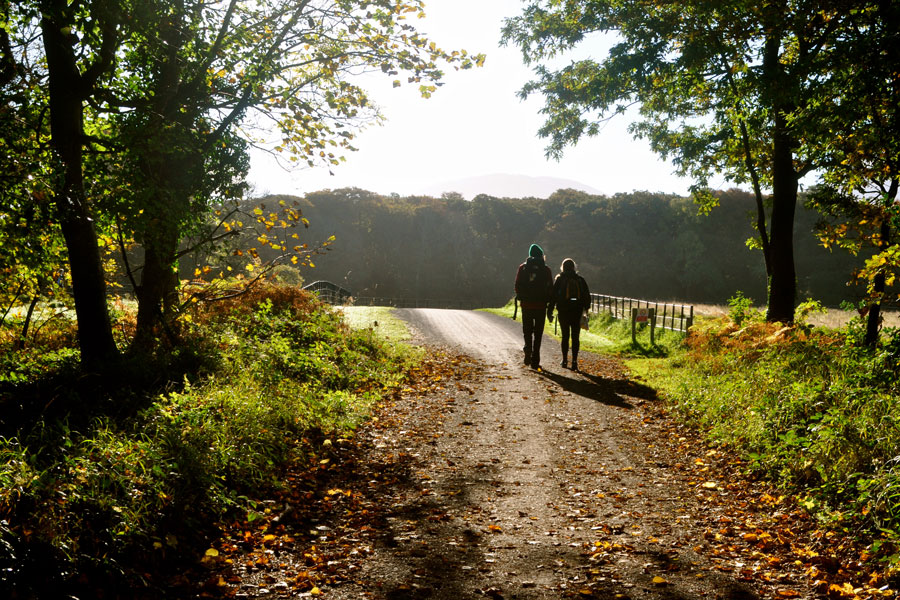 Two Agnes Scott study abroad students walking down a sunny path in Ireland.