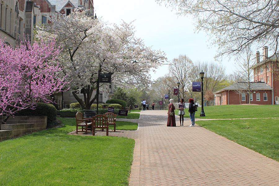 Three students stand on sidewalk in front of library and blooming pink tree.