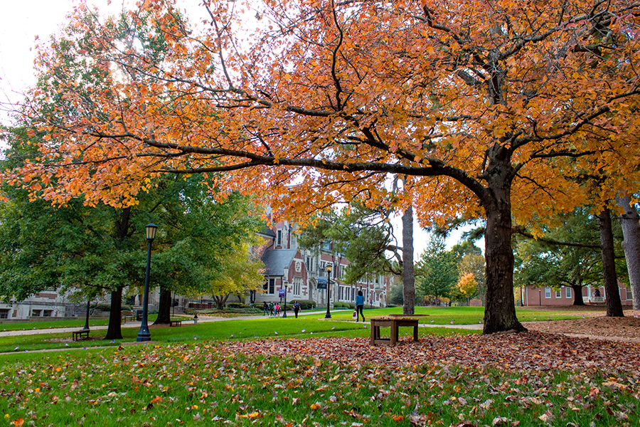 Agnes' Scott's quad in the fall