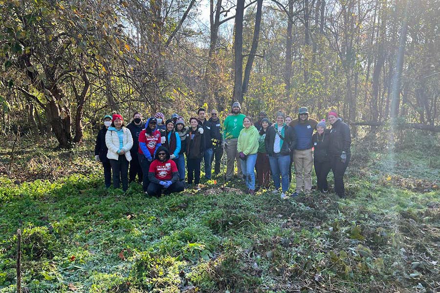 Group of volunteers in a forest standing around a small, recently planted tree.