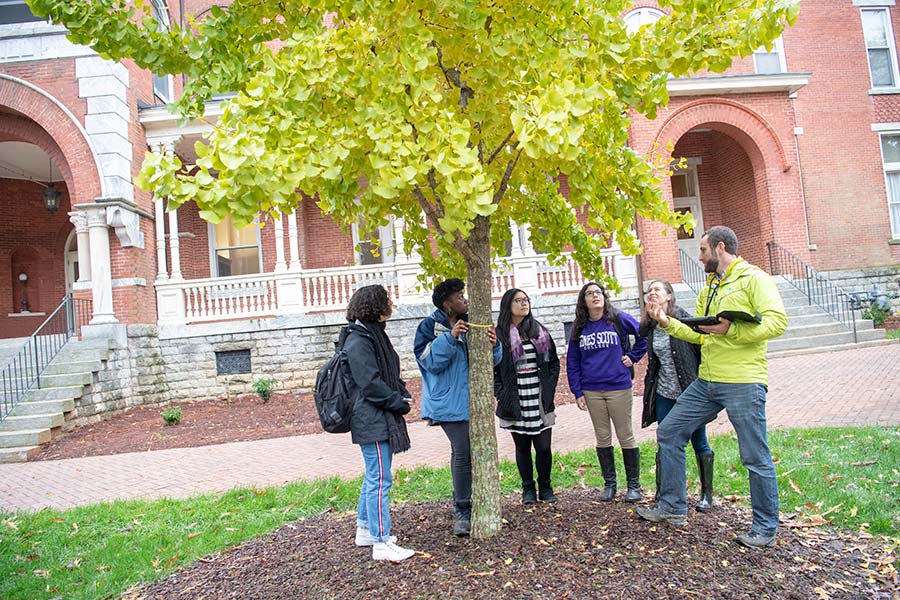 Arborist and students standing and talking under a tree