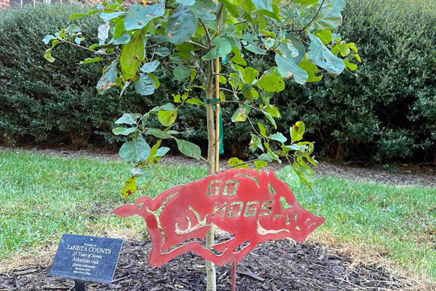 Honor tree for LaNeta Counts with a red, Arkansas razorback Go Hogs stake 
