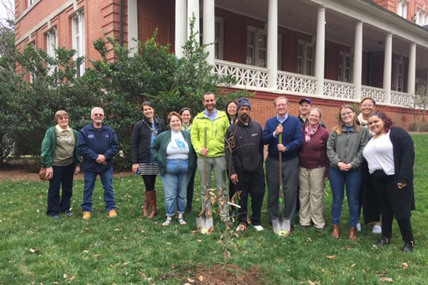 Group of poepole with shovels, after planting a tree