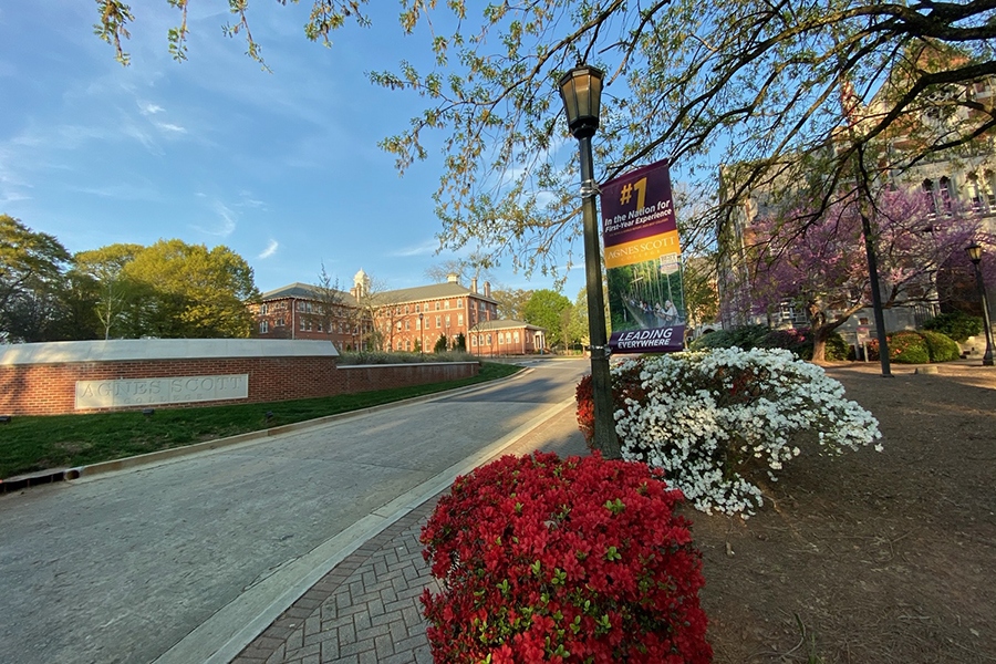 Flowers on campus beside Agnes Scott sign