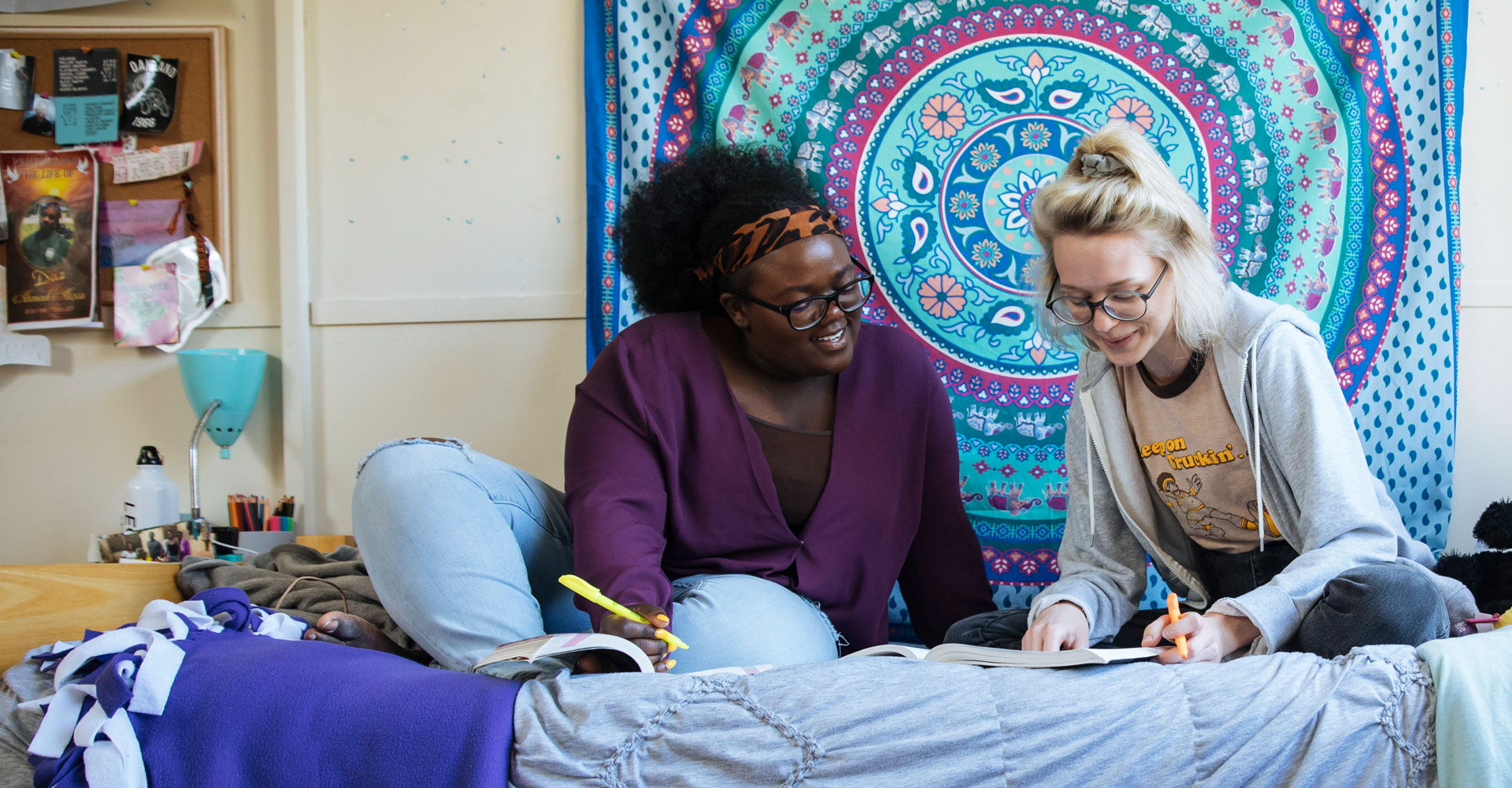 two students studying in a dorm room