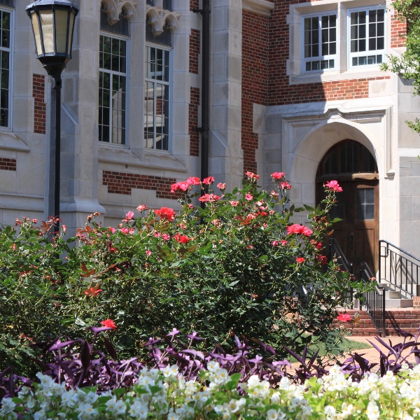 Back walkway of Presser Hall with flower beds