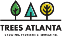Trees Atlanta